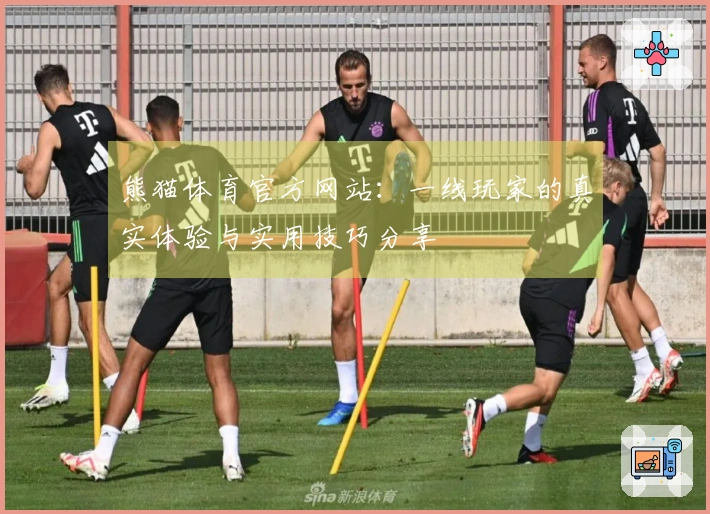 熊猫体育官方网站：一线玩家的真实体验与实用技巧分享