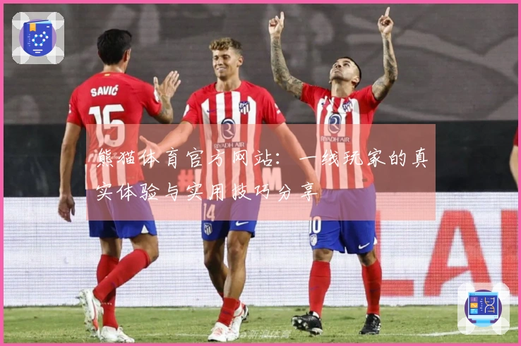 熊猫体育官方网站：一线玩家的真实体验与实用技巧分享